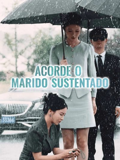 Capa da minissérie Acorde o Marido Sustentado Dublado