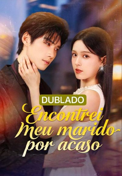 Capa da minissérie Encontrei Meu Marido por Acaso Dublado
