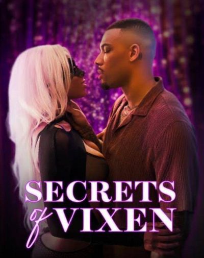 Capa da minissérie Secrets Of Vixen